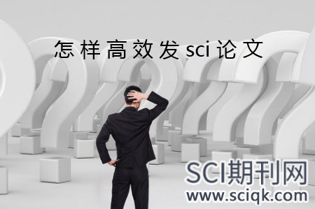怎样高效发sci论文