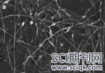 静电纺丝论文怎么发表sci期刊