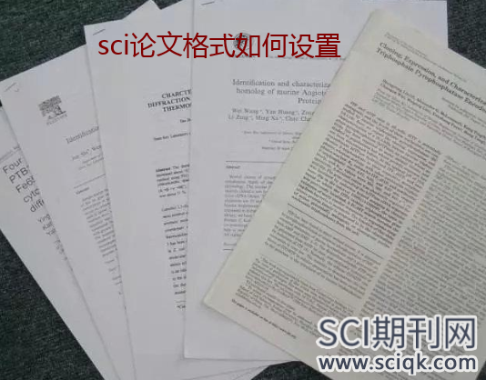 sci论文格式如何设置