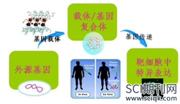 基因治疗发什么sci
