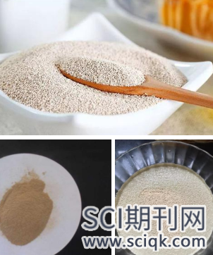 sci收录的酵母方面的期刊