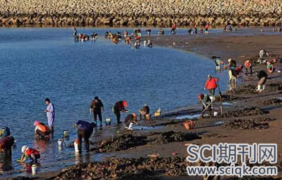 海洋滩涂作用的论文发哪些sci期刊