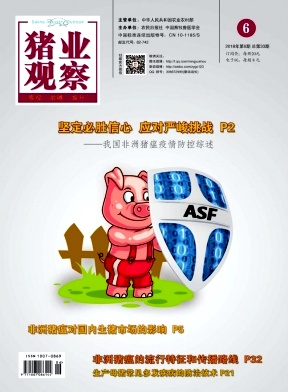 猪业观察