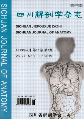 四川解剖学
