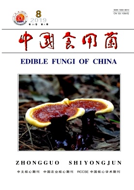 中国食用菌