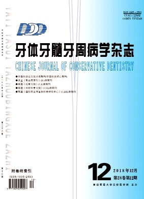 牙体牙髓牙周病学