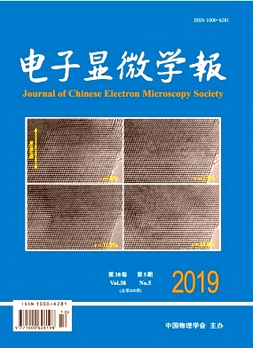 电子显微学报