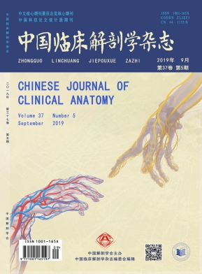 中国临床解剖学