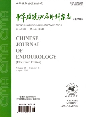 中华腔镜泌尿外科