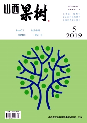 山西果树