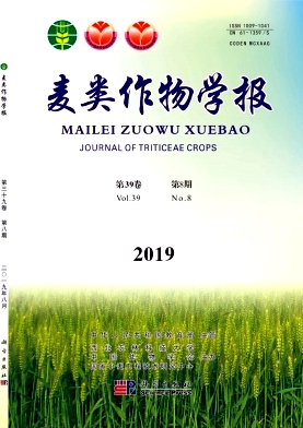 麦类作物学报