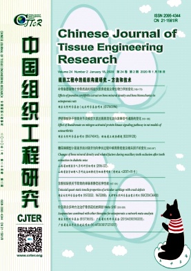 中国组织工程研究