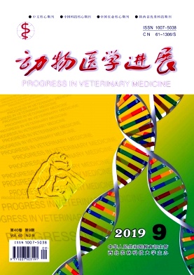 动物医学进展