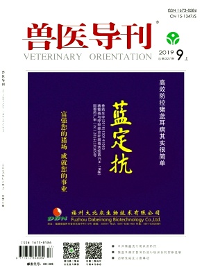 兽医导刊