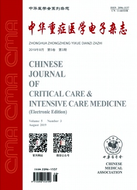 中华重症医学电子