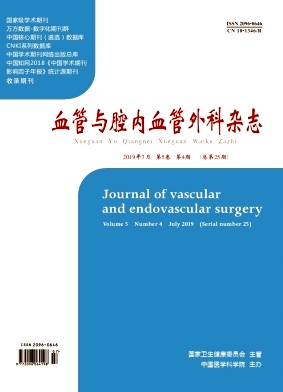 血管与腔内血管外科