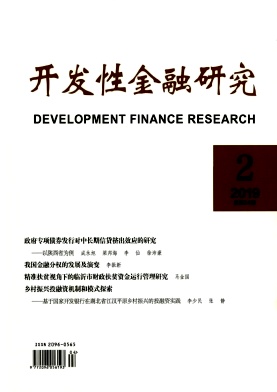 开发性金融研究