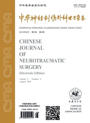 中华神经创伤外科电子