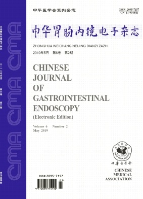 中华胃肠内镜电子